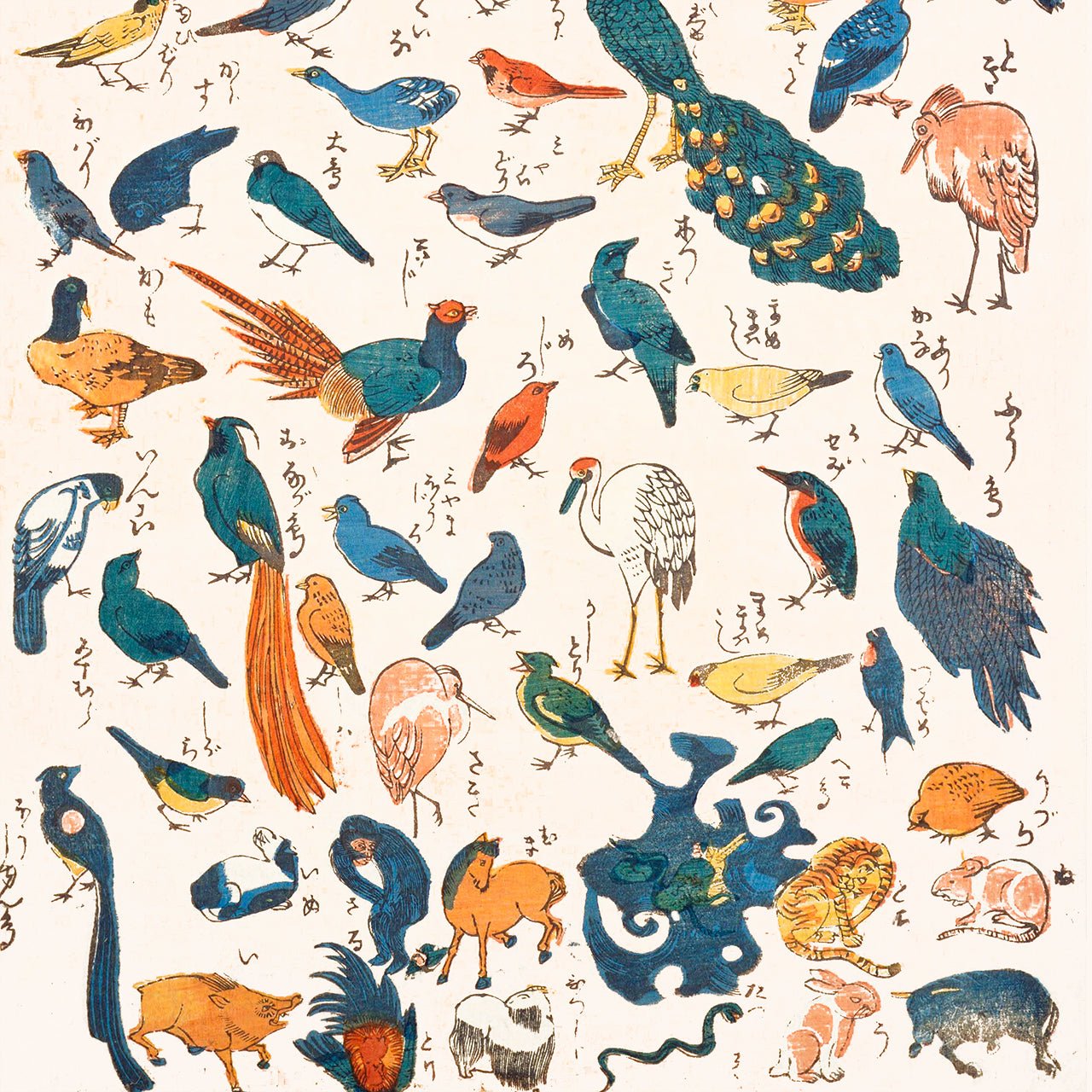 Shinban Torizukushi - Japonica Graphic