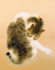 Tabby Cat - Japonica Graphic