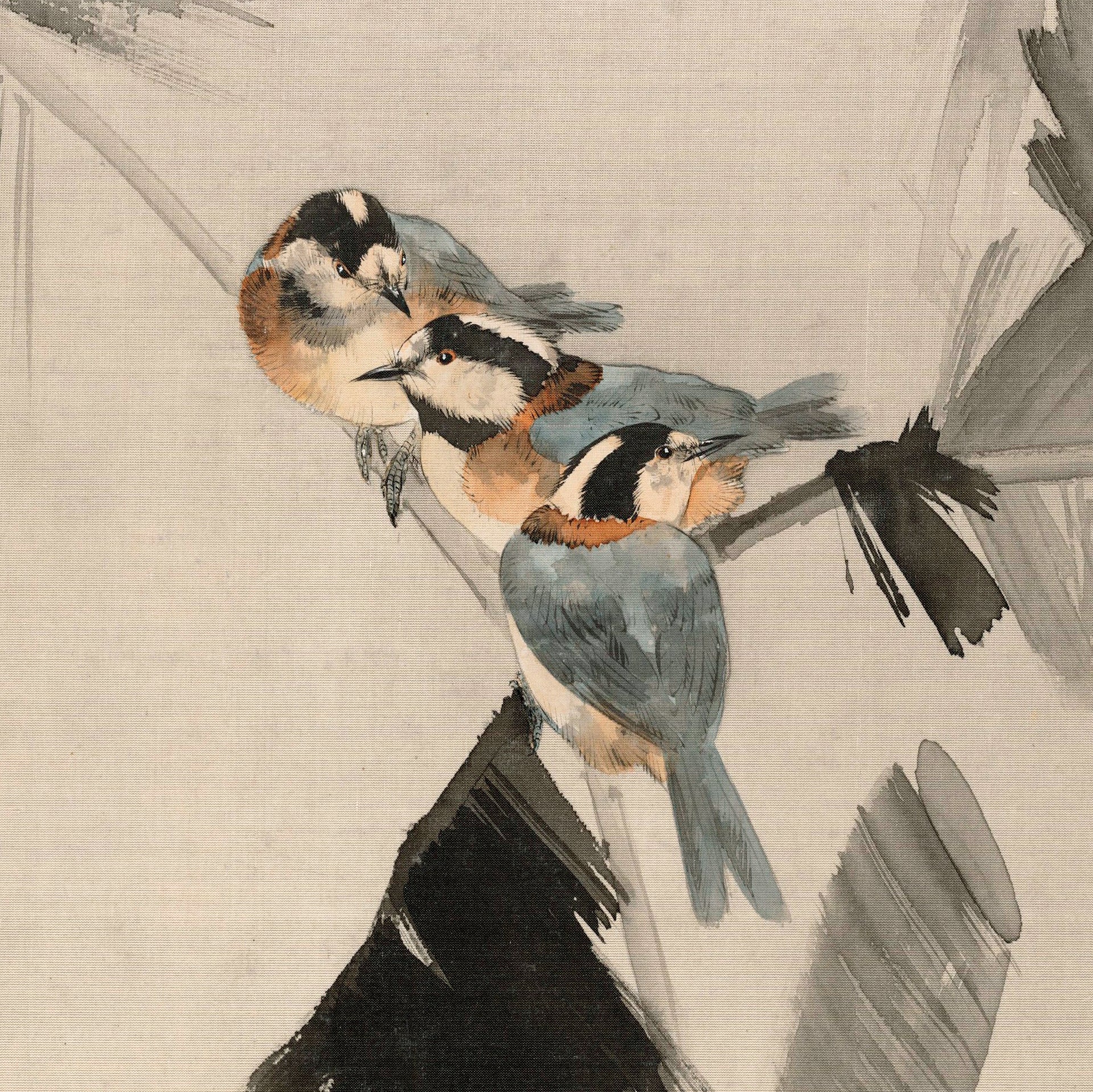 Three Birds on Branch - Japonica Graphic