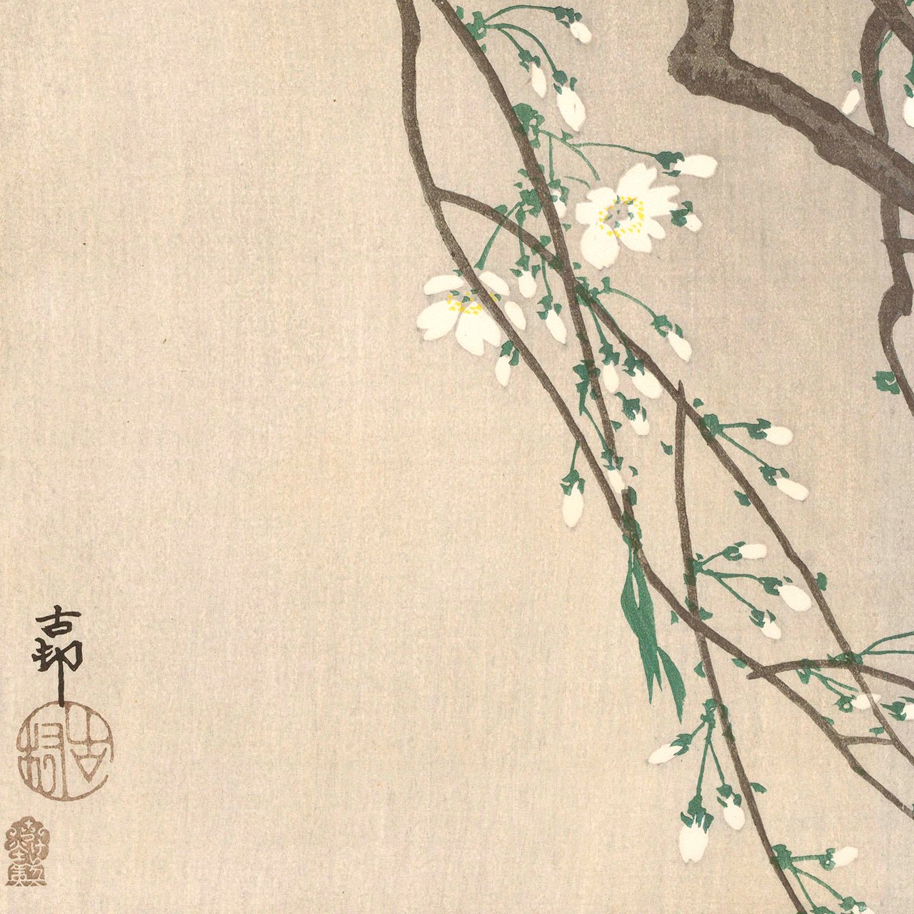 Tits on Cherry Branch - Japonica Graphic