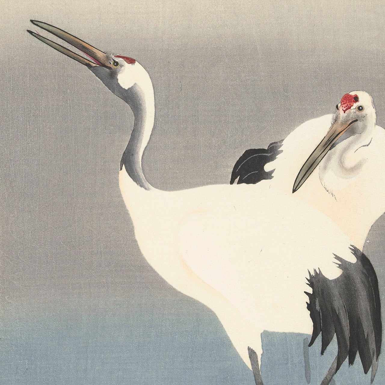 Two cranes - Japonica Graphic