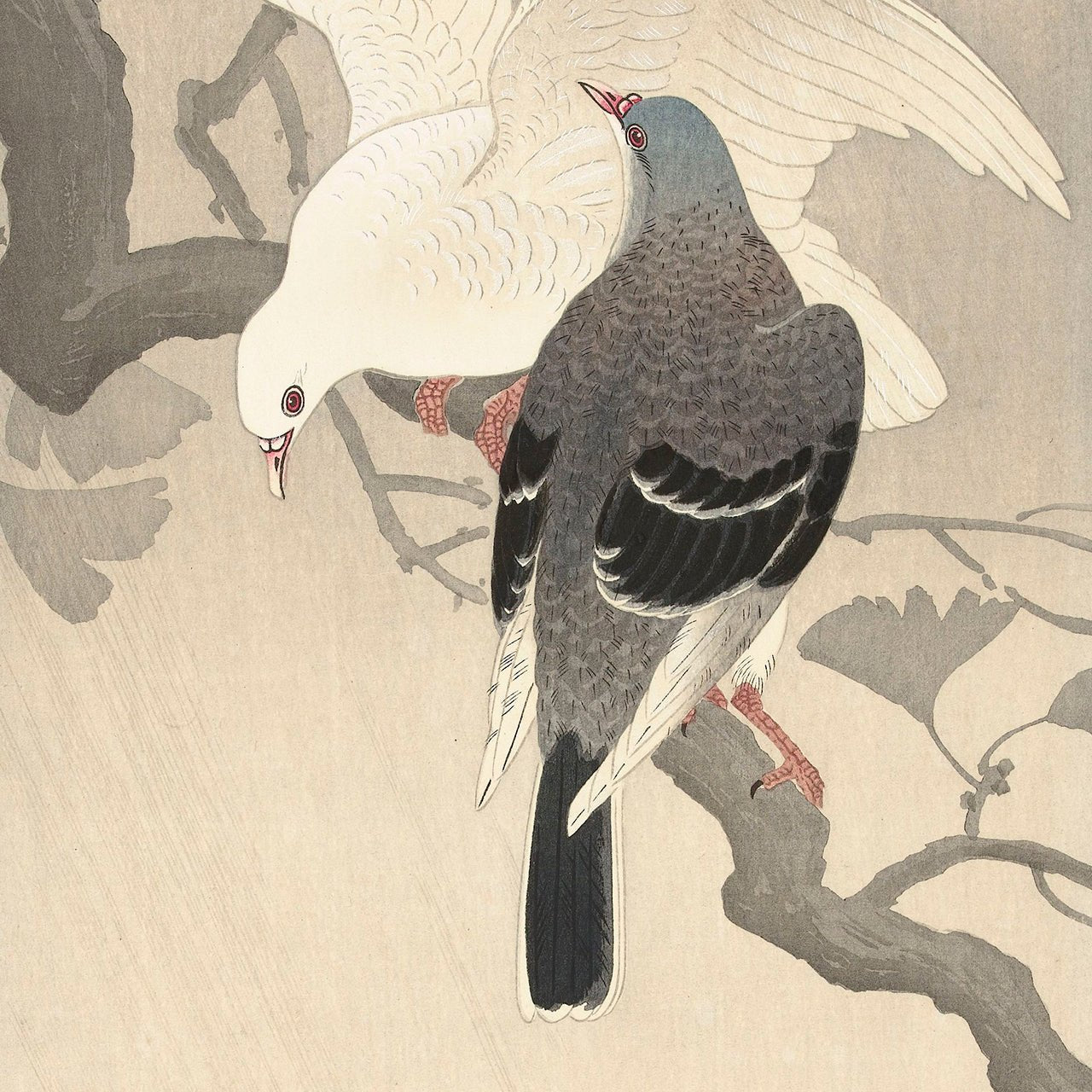 Two doves on a branch - Japonica Graphic