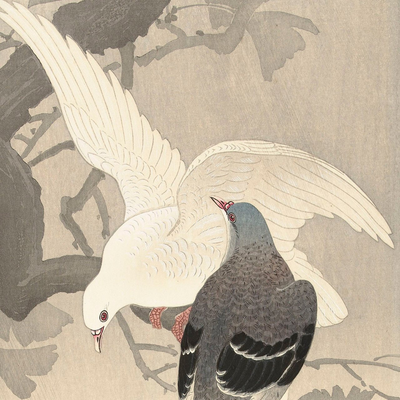 Two doves on a branch - Japonica Graphic