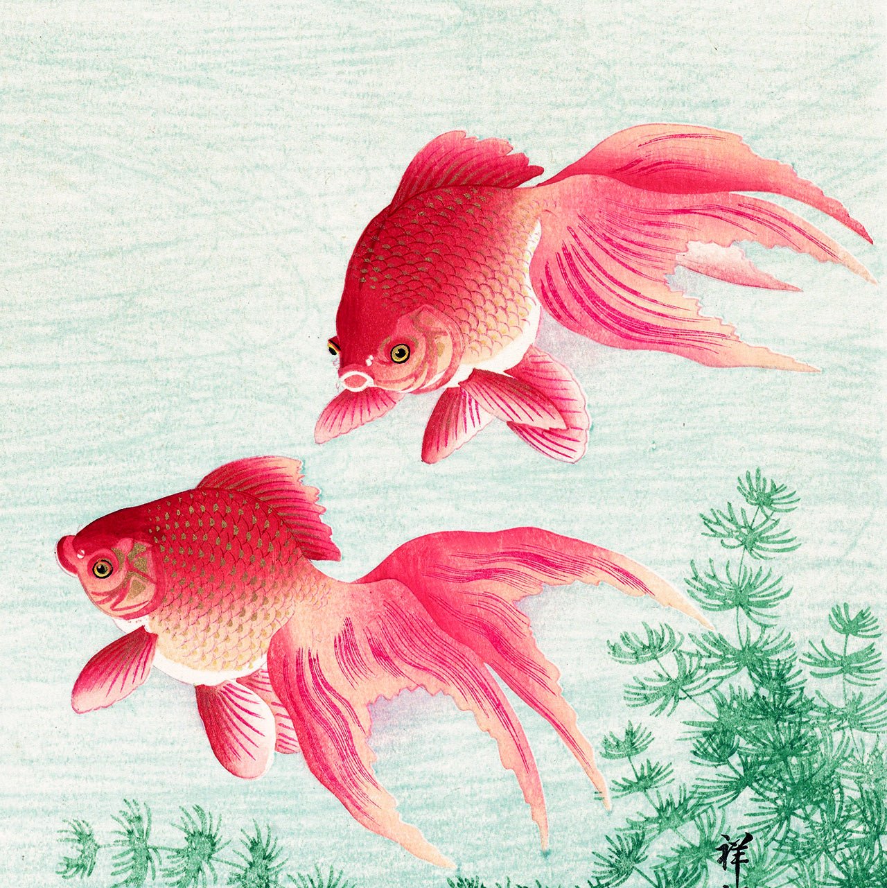 Two Goldfish - Japonica Graphic