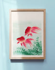 Two Goldfish - Japonica Graphic
