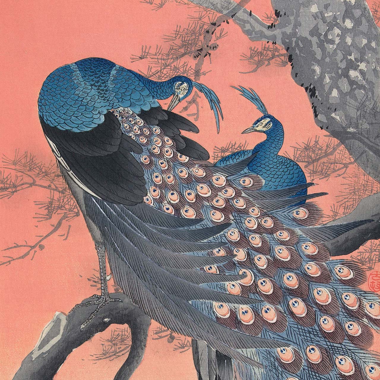 Two Peacocks on Tree Branch - Japonica Graphic