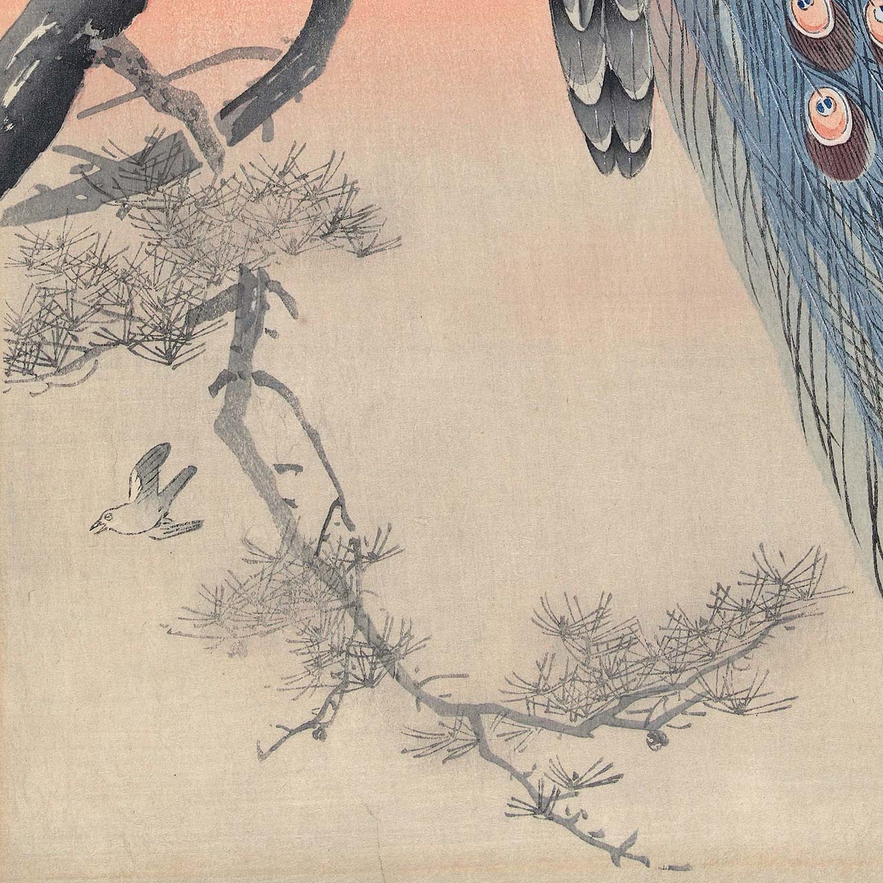 Two Peacocks on Tree Branch - Japonica Graphic