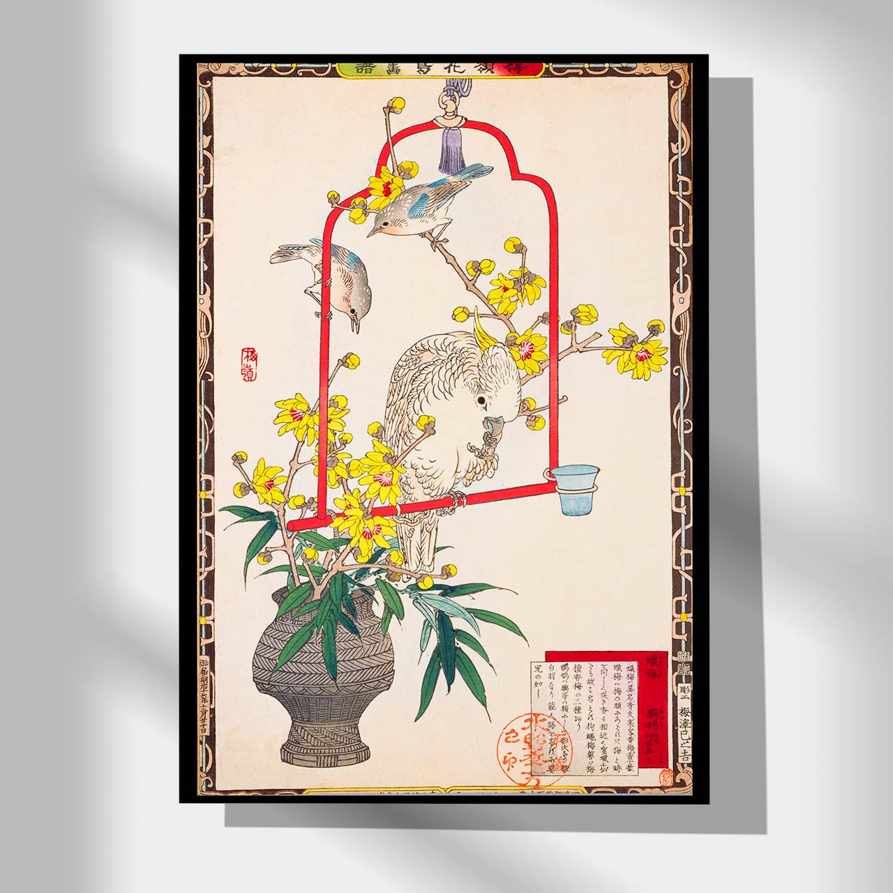 Wintersweet and Parrot - Japonica Graphic