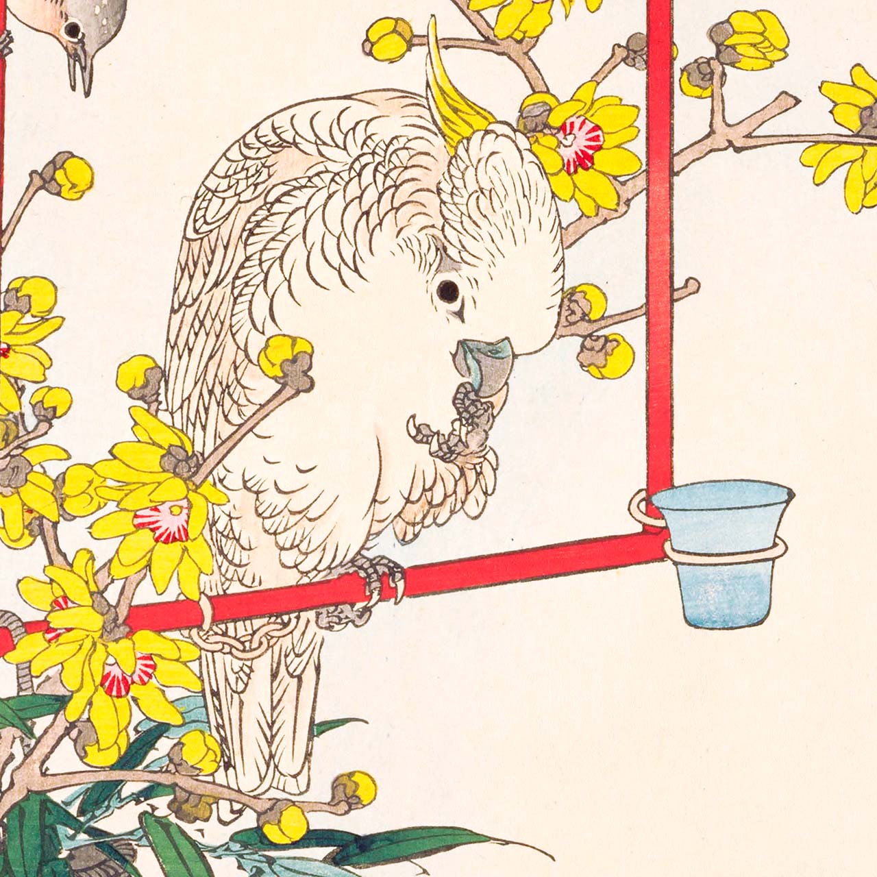 Wintersweet and Parrot - Japonica Graphic