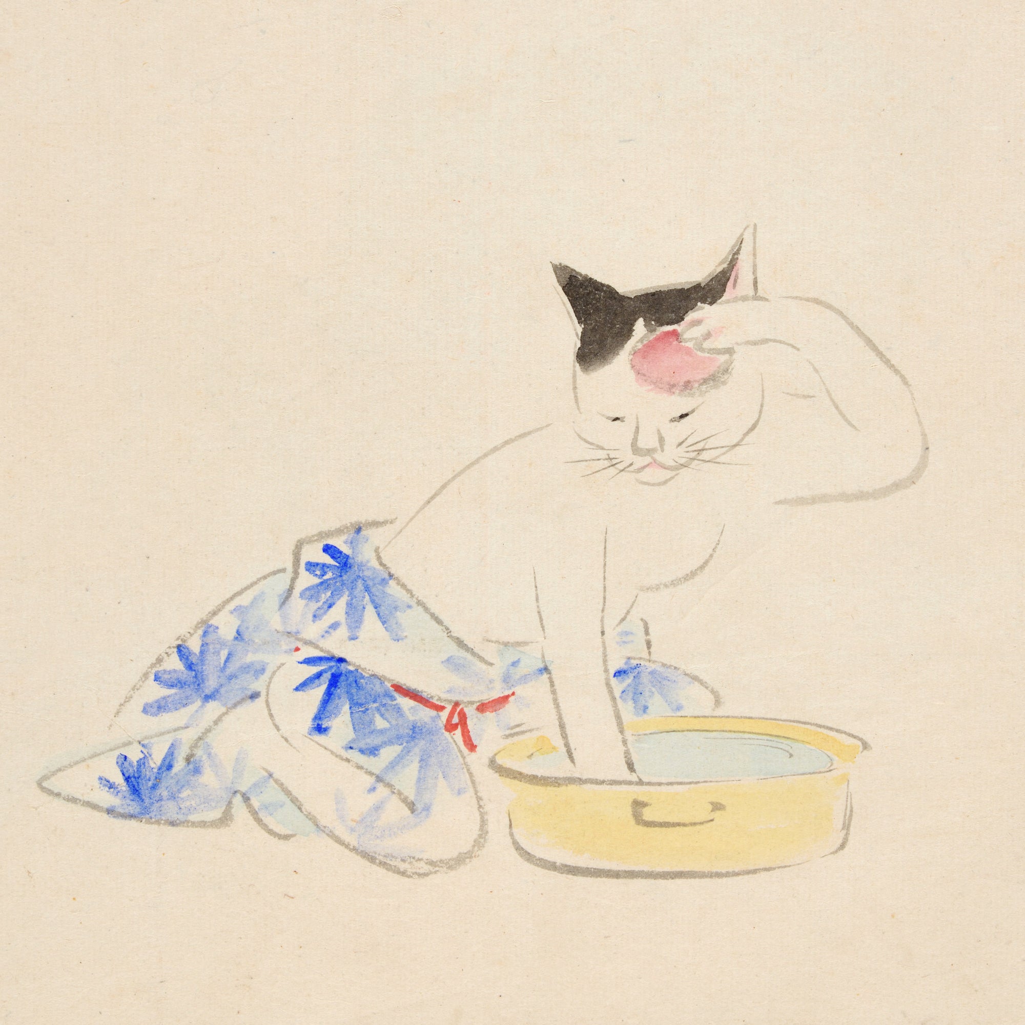 Katze bei der Gesichtswäsche