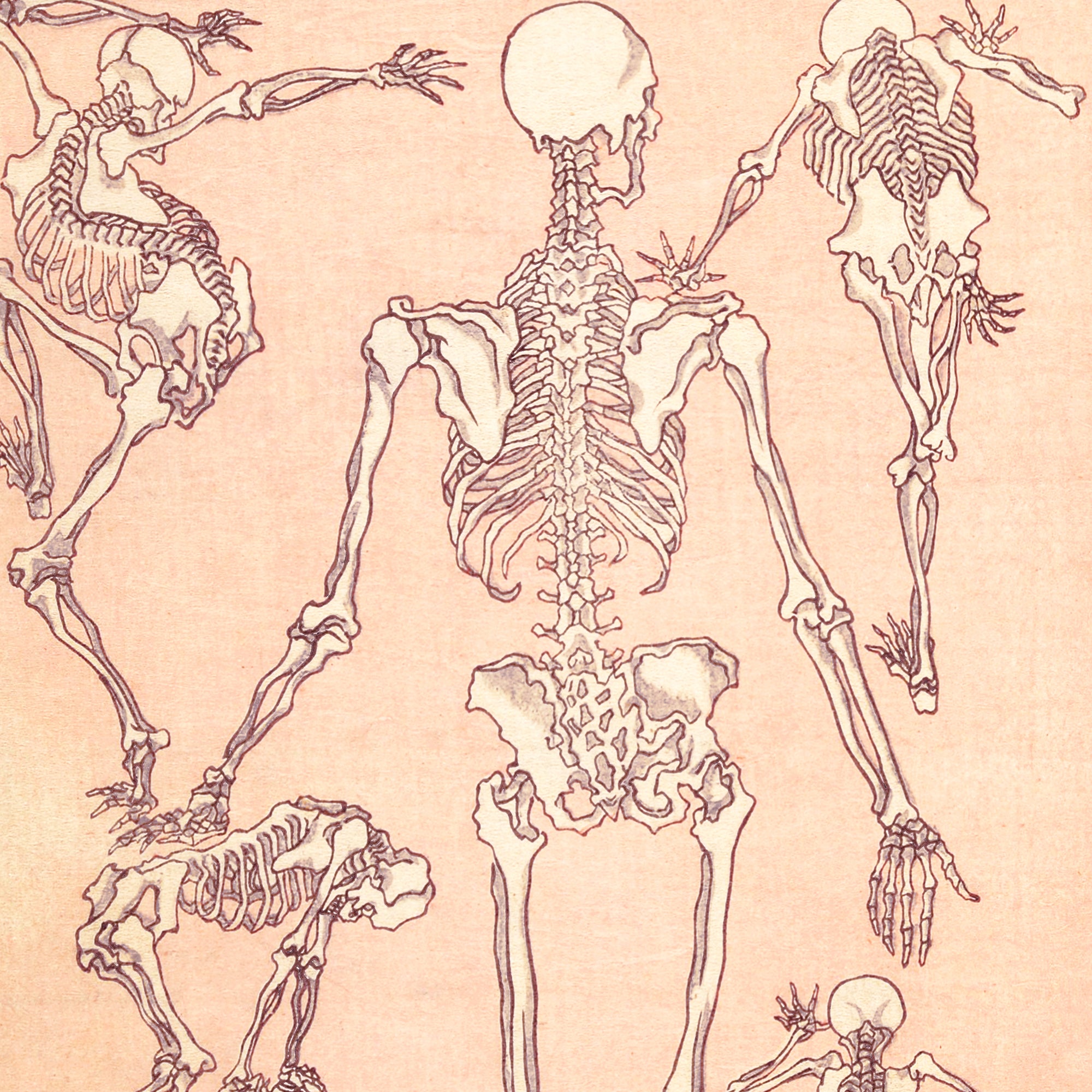 Kyōsai Sketchbook — Skelette (Rückansicht)