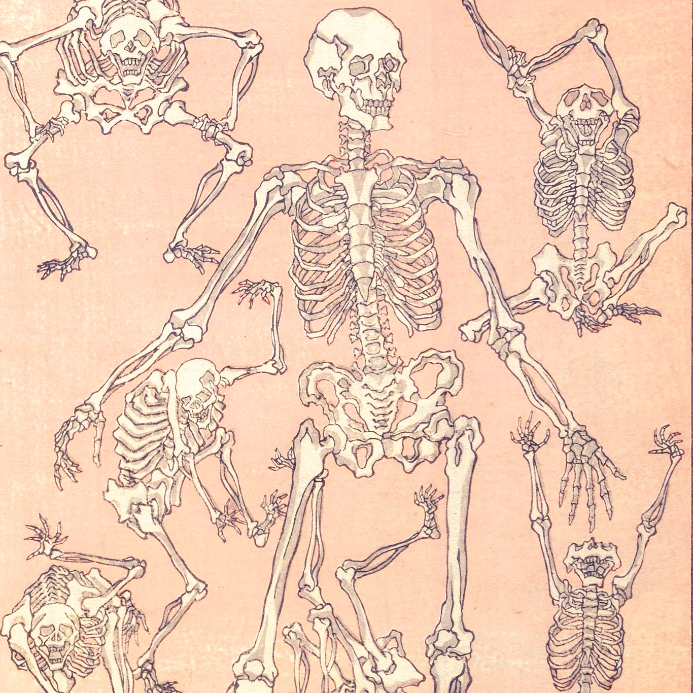 Kyōsai Sketchbook — Skeletons (Front View)
