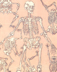 Kyōsai Sketchbook — Skeletons (Front View)