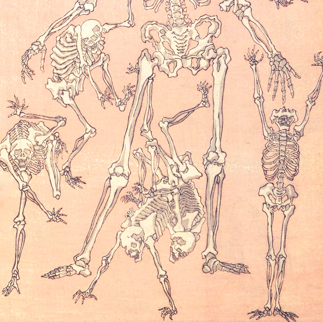 Kyōsai Sketchbook — Skeletons (Front View)