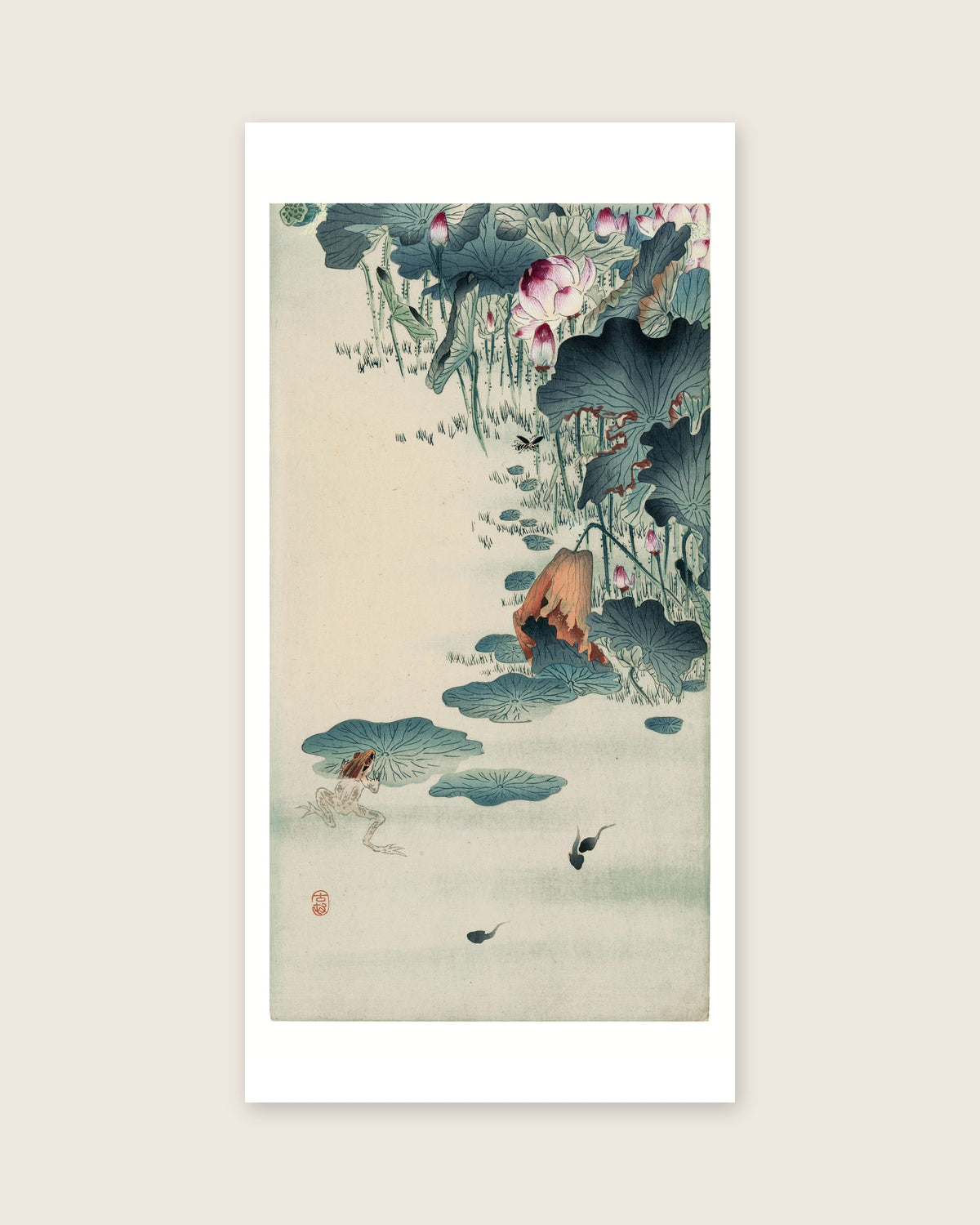 Frog and tadpoles – Ohara Koson art print 30 x 60 cm