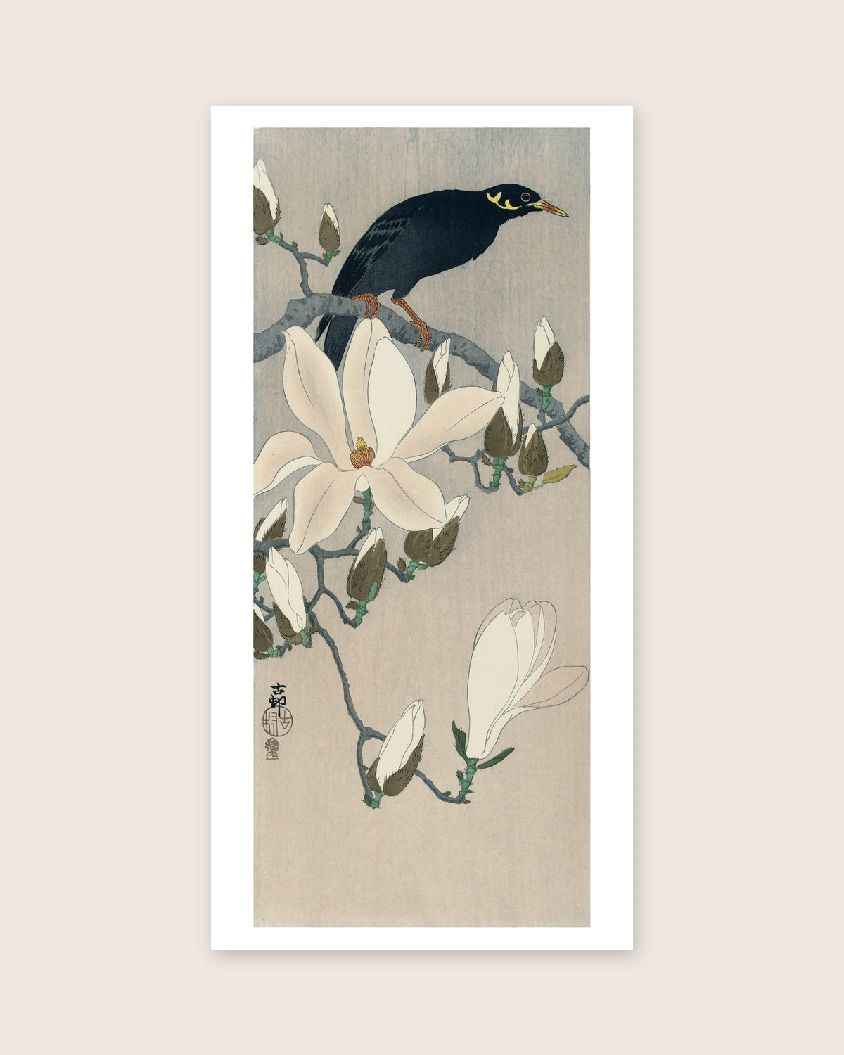 Myna on Magnolia Branch – Ohara Koson art print 30 x 60 cm