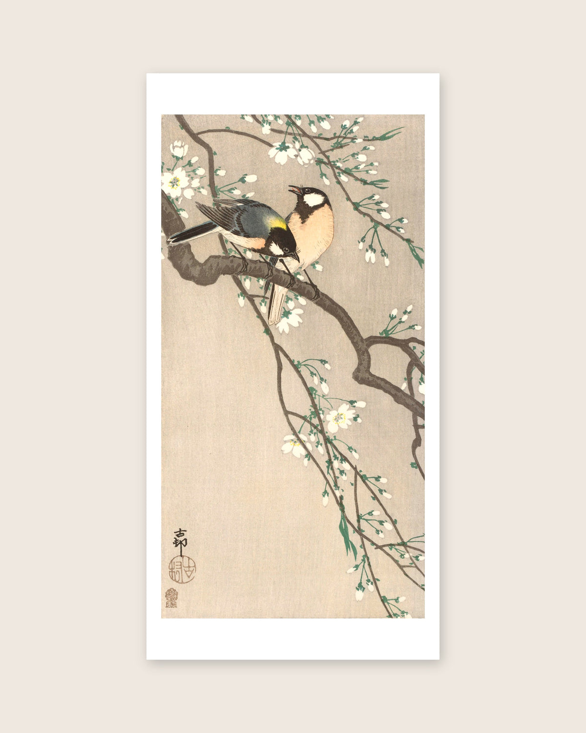 Tits on Cherry Branch – Ohara Koson art print 30 x 60 cm