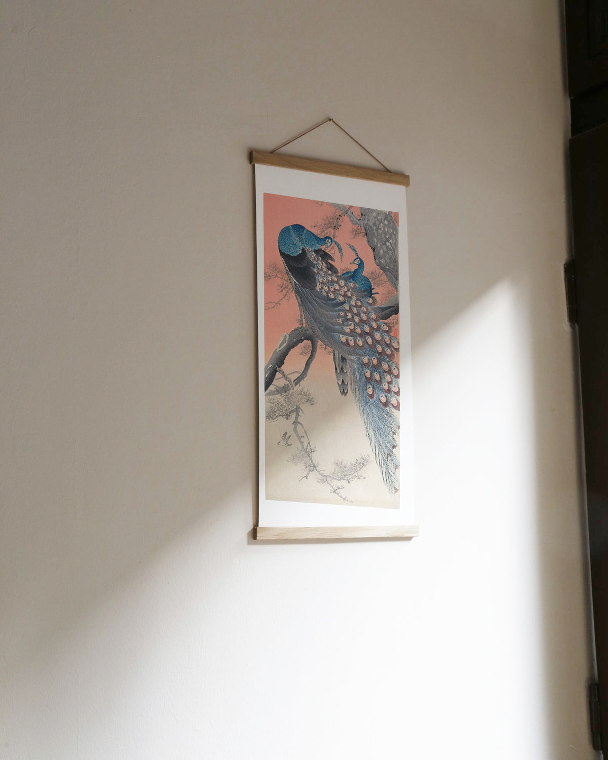 Two Peacocks on Tree Branch – Ohara Koson art print 30 x 60 cm on a wooden poster hanger in an interior