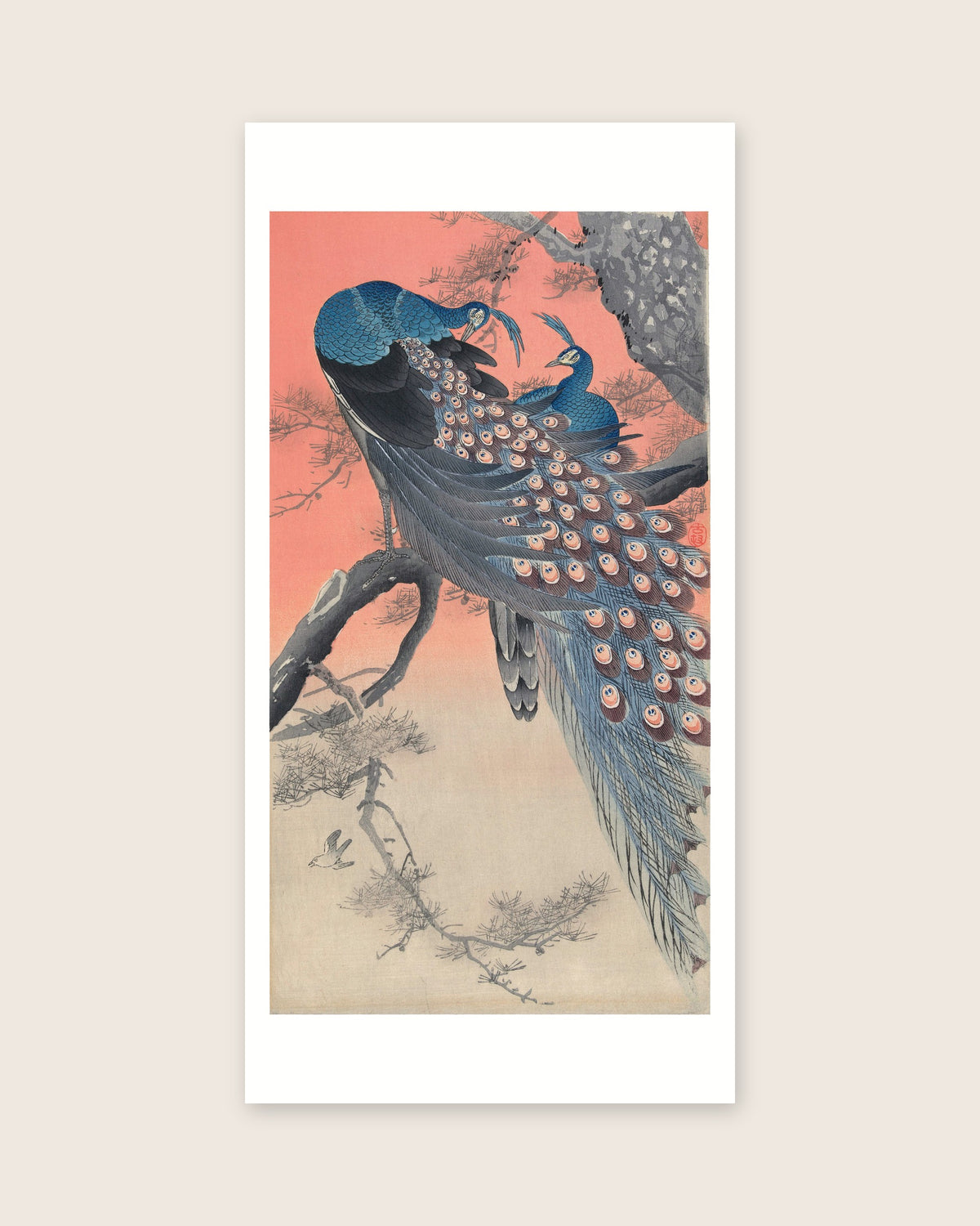 Two Peacocks on Tree Branch – Ohara Koson art print 30 x 60 cm