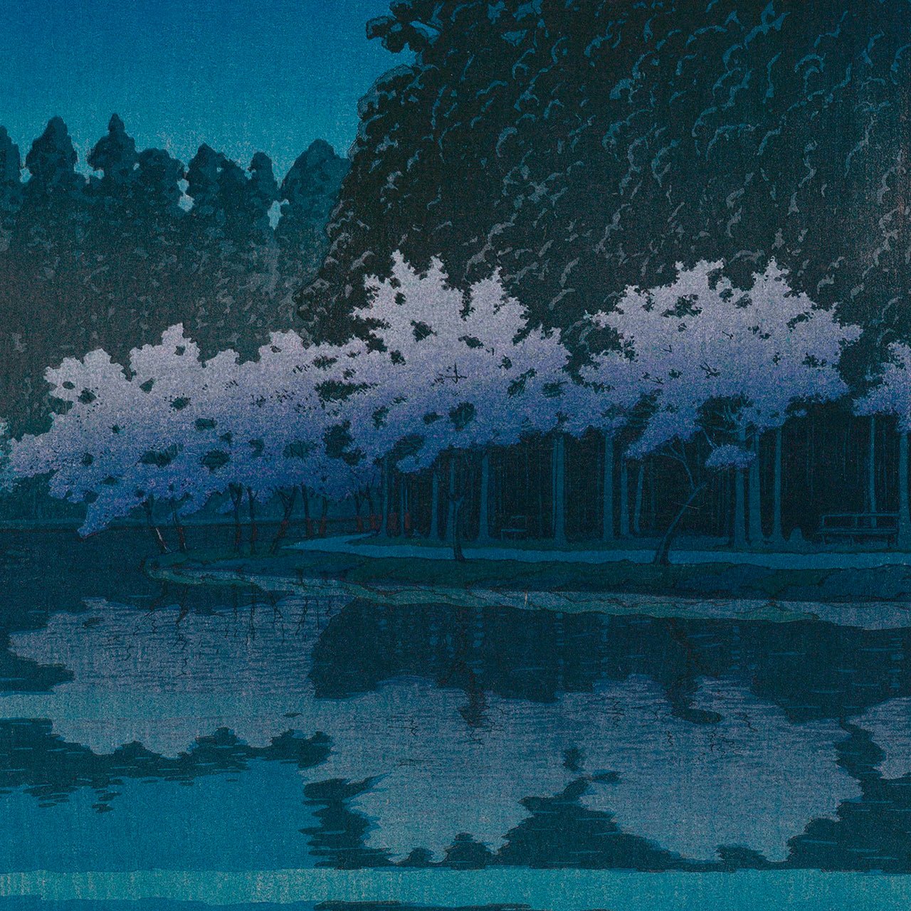 Spring Night at Inokashira - Japonica Graphic