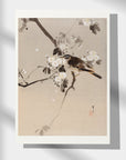 Birds on a Flowering Branch - Japonica Graphic