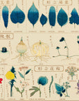 Chart of plants I - Japonica Graphic