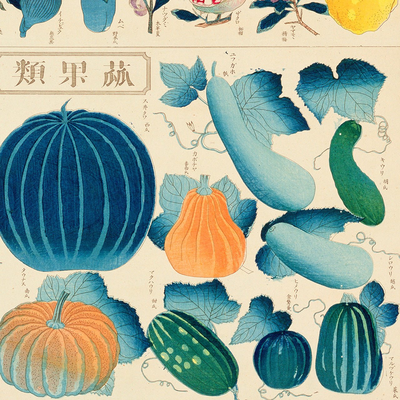 Chart of plants II - Japonica Graphic