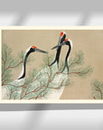 Cranes - Japonica Graphic