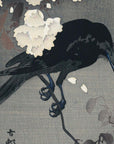 Crow on a cherry branch - Japonica Graphic