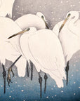 Group of Egrets - Japonica Graphic