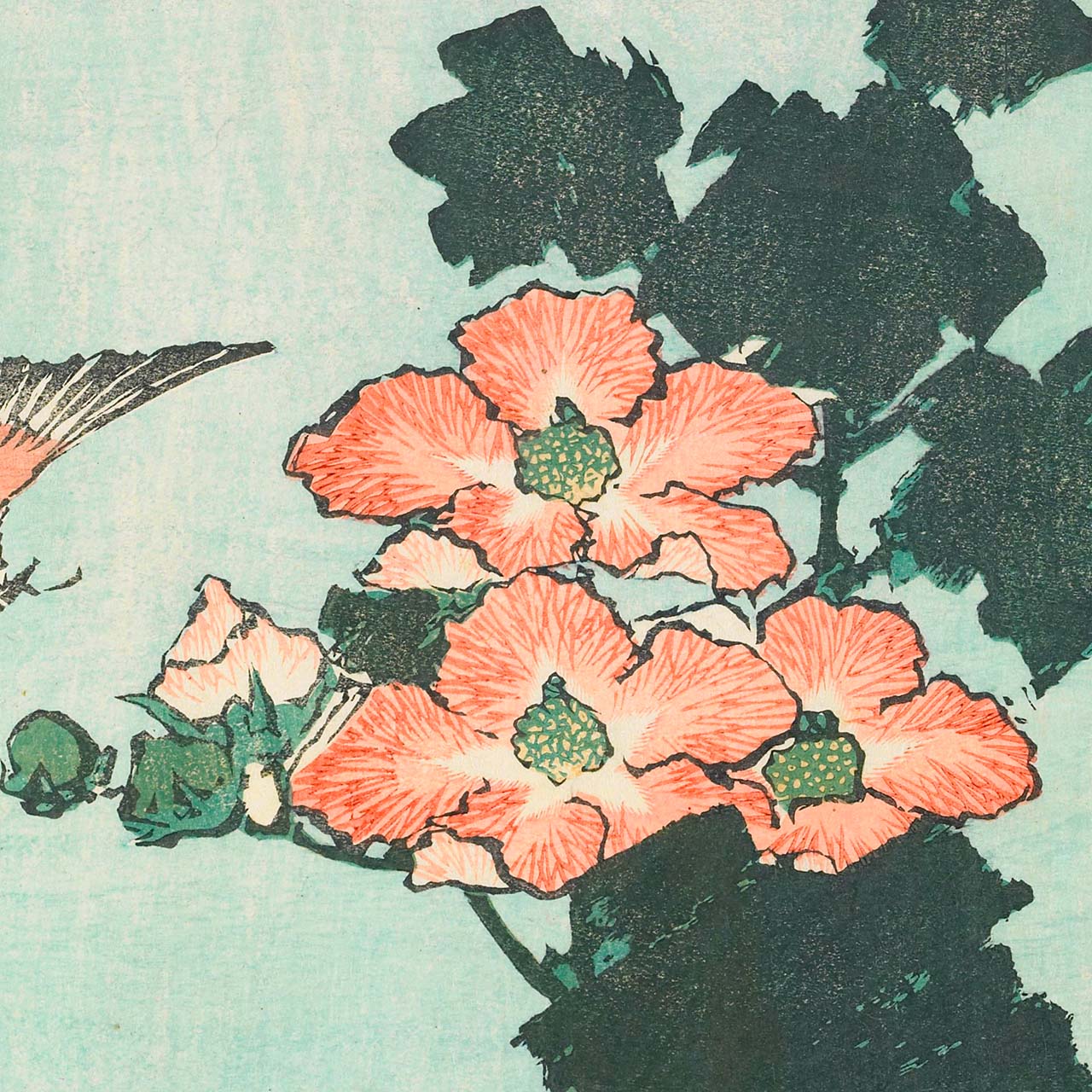 Hibiscus and sparrow - Japonica Graphic