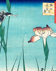 Horikiri Iris Garden - Japonica Graphic