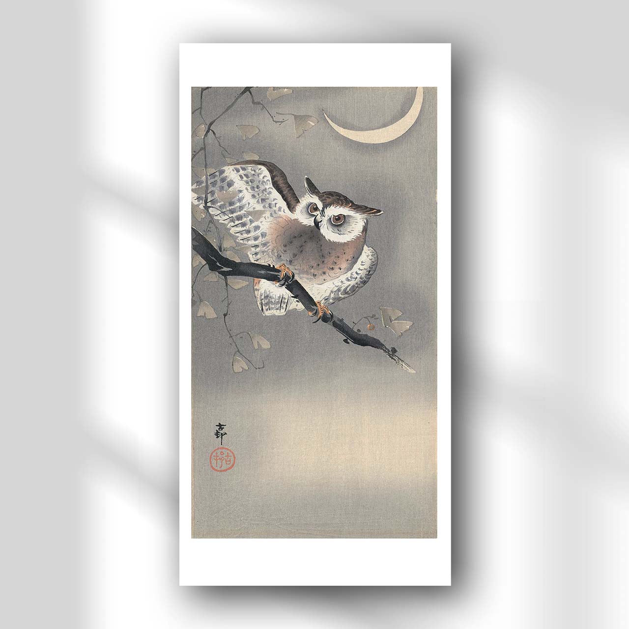 Owl in ginkgo - Japonica Graphic