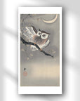 Owl in ginkgo - Japonica Graphic