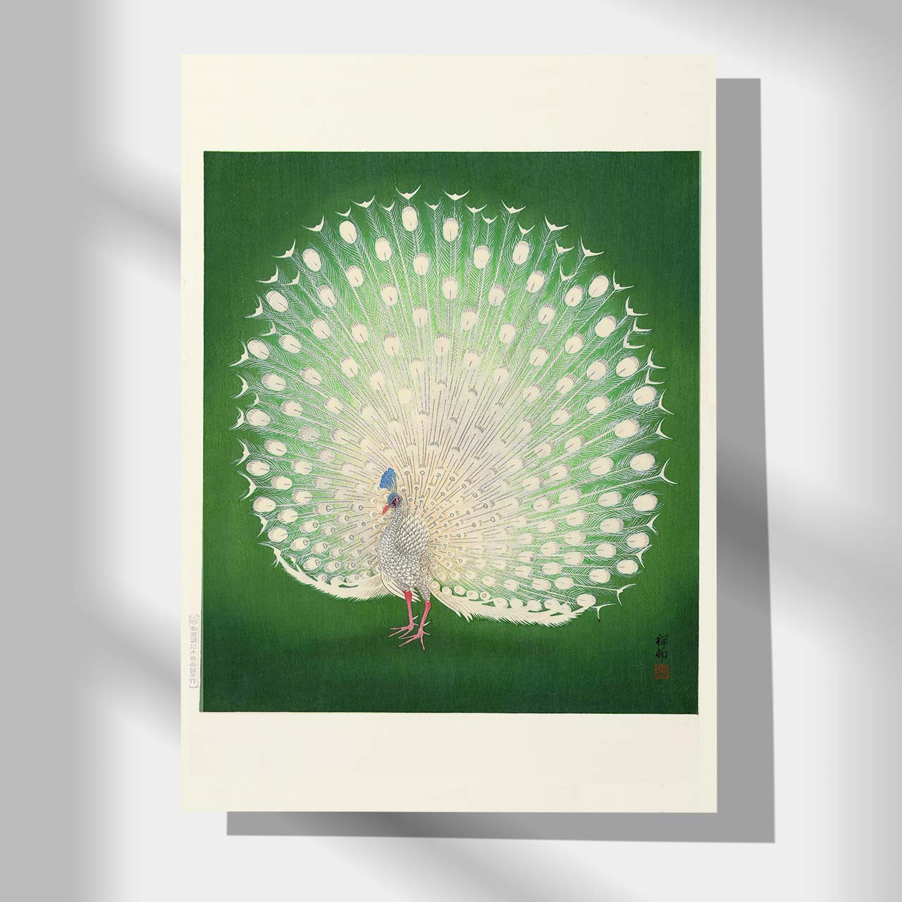 Peacock - Japonica Graphic