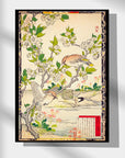 Pear Blossom and Cedar waxwing - Japonica Graphic