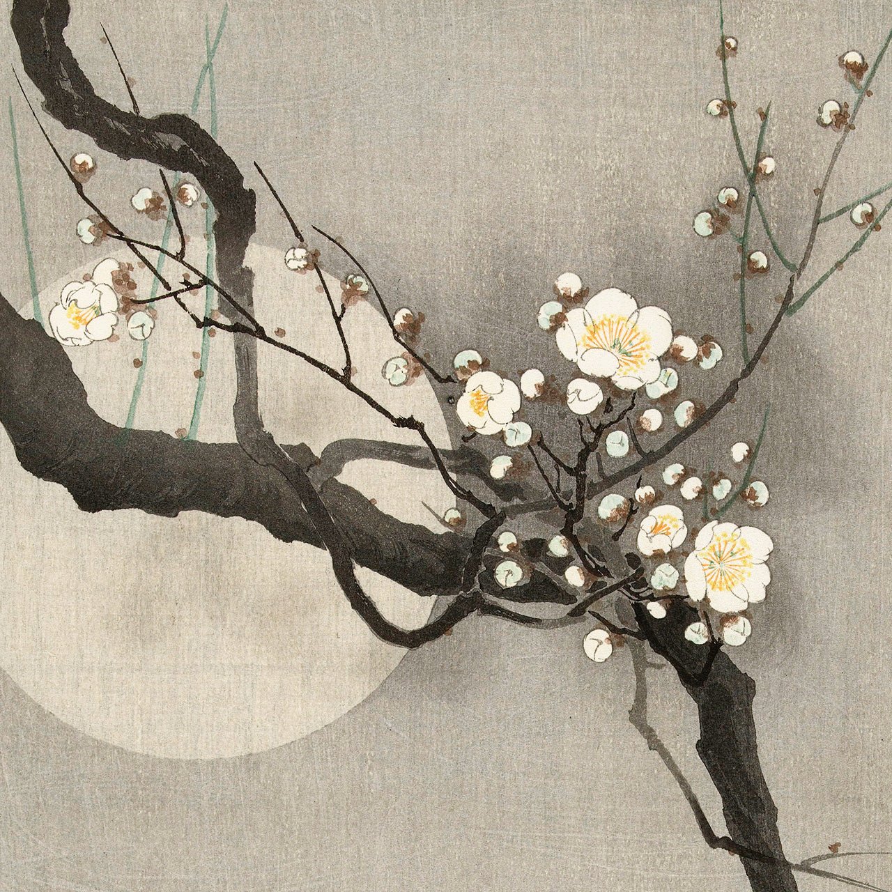 Plum blossom and full moon - Japonica Graphic
