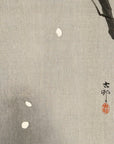 Plum blossom and full moon - Japonica Graphic