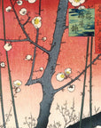 Plum Park in Kameido - Japonica Graphic