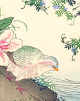 Rhododendron and dove - Japonica Graphic