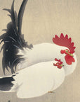 Rooster and Hen - Japonica Graphic