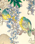 Wisteria flower and pigeon - Japonica Graphic